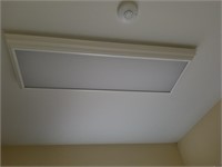 Ceiling light