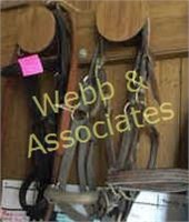 bridles and halters