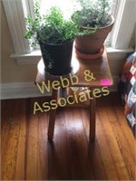 Wood end table with 2 house plants