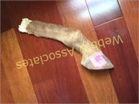Real horse leg bisected