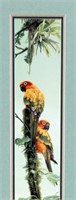 Rod Frederick Tall Framed Print of Parrots Signed