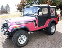 1975 Jeep Renegade (view 1)
