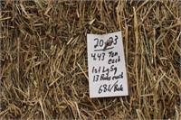 Hay-Lg. Squares-1st-13 Bales