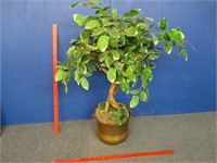 artificial plant in brass pot (3.5ft tall)