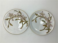 Pair China Plates