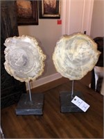 Decorative Petrified Wood