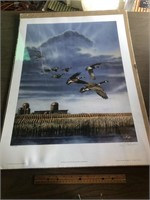 Canadian Geese Print