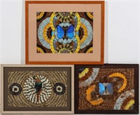THREE FRAMED EXOTIC BUTTERFLY WING COLLAGE IMAGES