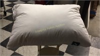 Sleepgram Dreamsleep Pillow Standard