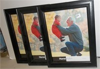 3 Homestyle Picture Frames (10" x 13")