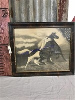 Horse framed picture