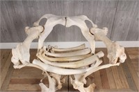 Savonarola Style Bone Chair