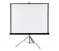 (2) Projection Screens