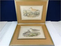Pair of Bird Prints Framed & Matted