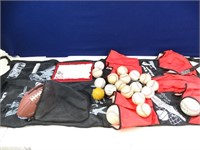Assorted Sports Balls & Bag Organizer