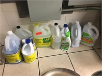 Qty of Cleaning Products