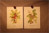 Jim Oliver Prints - Butterflies