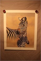 Jim Oliver Print - Zebras
