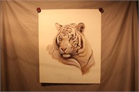 Jim Oliver Print - White Tiger