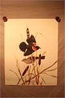 Jim Oliver Print - Red-Winged Blackbird