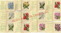 KENSITAS CIGARETTES VINTAGE FLOWER INSERTS