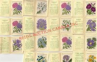 KENSITAS CIGARETTES VINTAGE FLOWER INSERTS