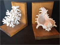 Beautiful Wood and Seashell Bookends