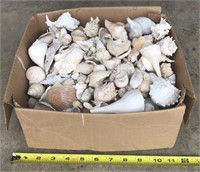 Box Full of Seashells