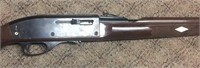 Remington 22 semi-auto