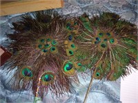 Pair-Peacock feather fans
