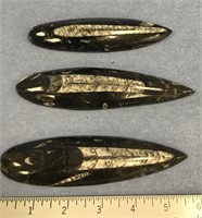 A lot with three orthoceras fossils     (11)