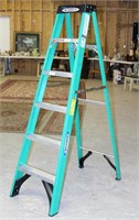 Werner 6 ft. Fiberglass Ladder