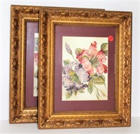 Pair of Floral Prints in Gilt Frames