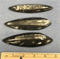 Lot of 3, orthocerus fossils, all are approx. 5" l