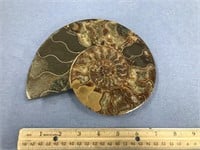Large ammonite fossil plate, approx. 7 1/4" diamet