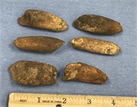 Lot with 6, fossilized mammal teeth    (g 22)
