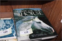 SPIRIT OF THE HORSE