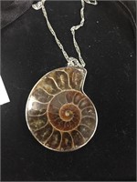 Ammonite  pendant with silver chain