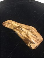 Polished petrified wood