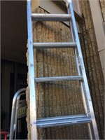 Metal, extendable ladder