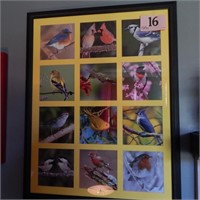 FRAMED AND MATTED BIRD PRINT COLLAGE 36X27