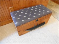 Nautical Hope Chest with Cushioned Lid
