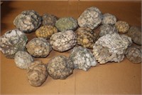 20 Geodes