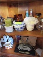 Contents of Lower Section of Corner Cabinet: Plant