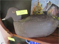 Duck Decoy