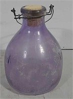 Purple Glass Bug Catcher