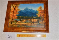 Framed Print - Bull Elk w/Cow Elk Brass Tag -