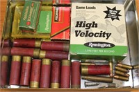 Group of Ammo