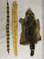 Raccoon Pelt and Snake Skins