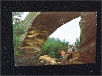 Vintage Natural Bridge KY Post Card Unused